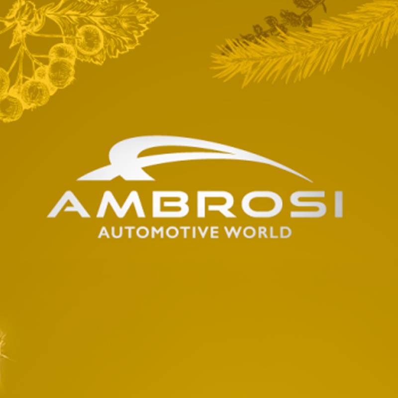 Auguri di buone feste e uno sguardo al futuro